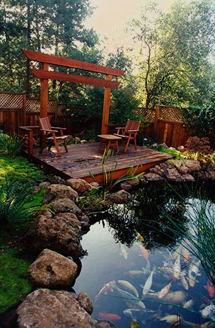 Deck and coy pond